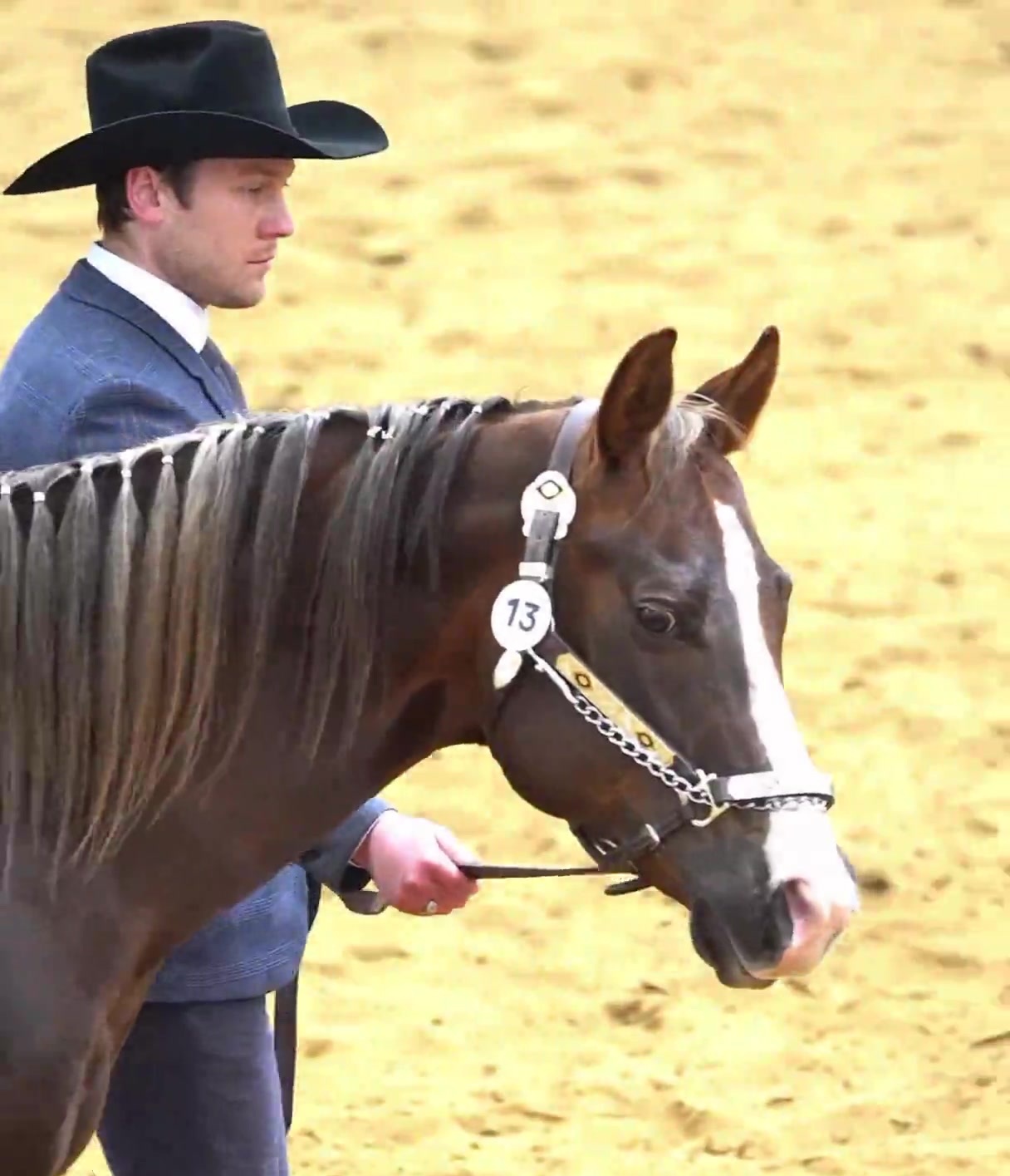 WS IM A WIMPY GUN video